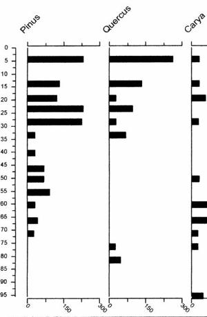 fig22-pollen