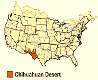 Map showing where the Chihuahan Desert spans the southwestern United States